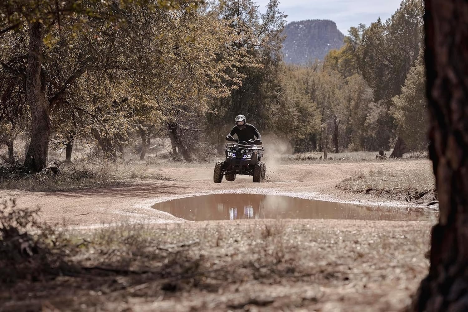 Coleman Powersports AT200R 169cc Gas Powered Adult ATV - Image 4